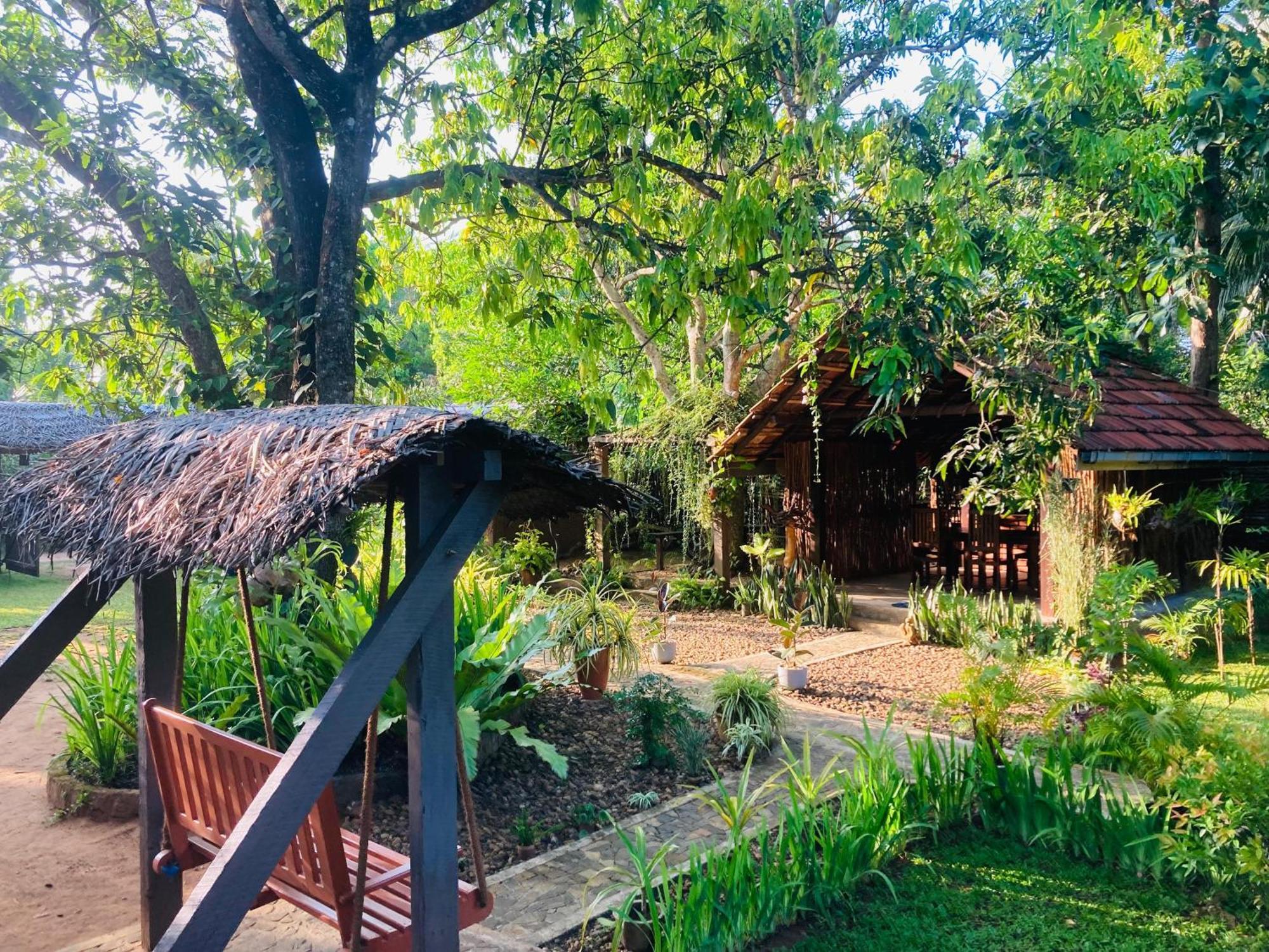 Green Paradise Cottage Udawalawa 达瓦拉维 外观 照片