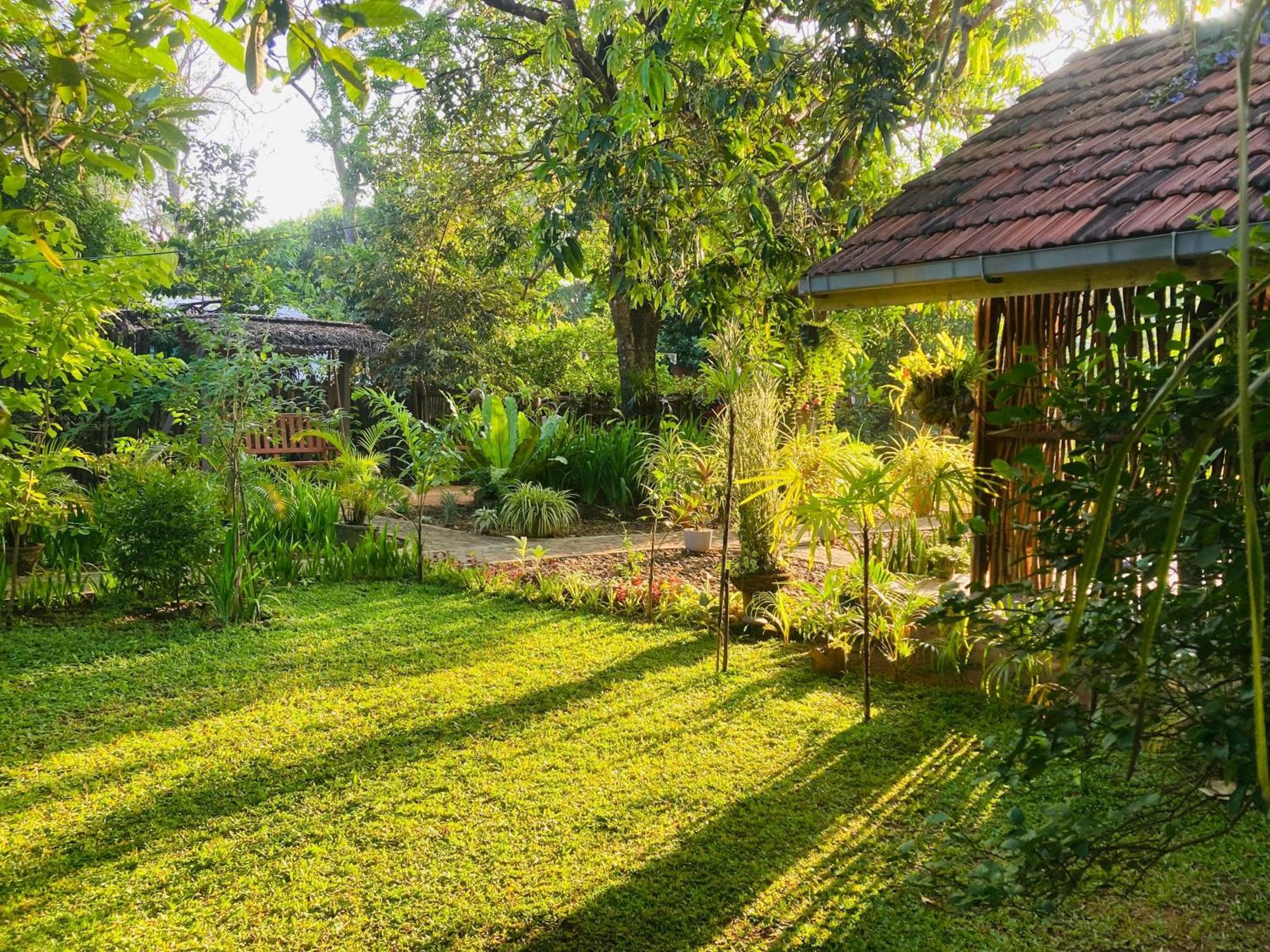 Green Paradise Cottage Udawalawa 达瓦拉维 外观 照片