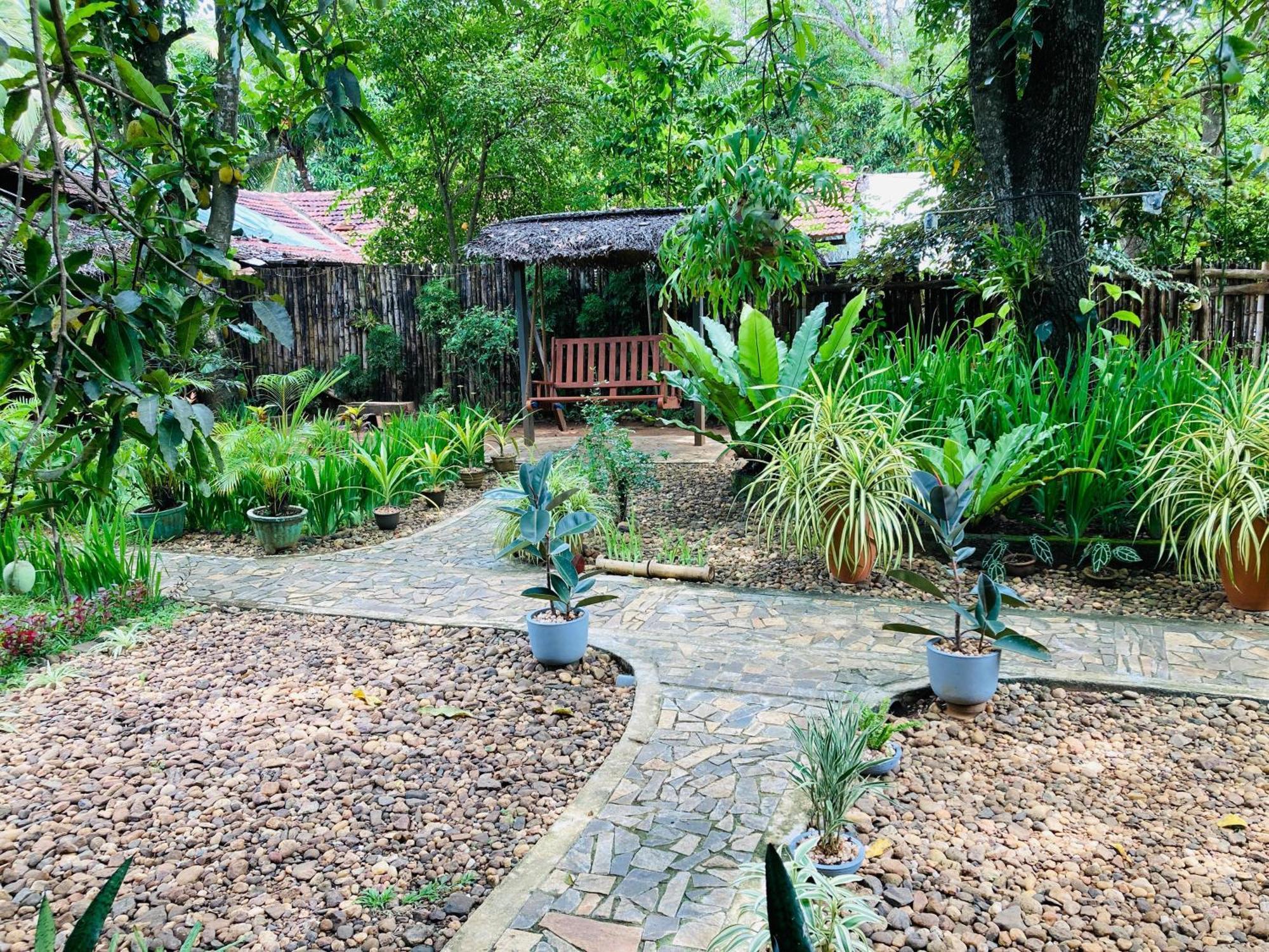 Green Paradise Cottage Udawalawa 达瓦拉维 外观 照片