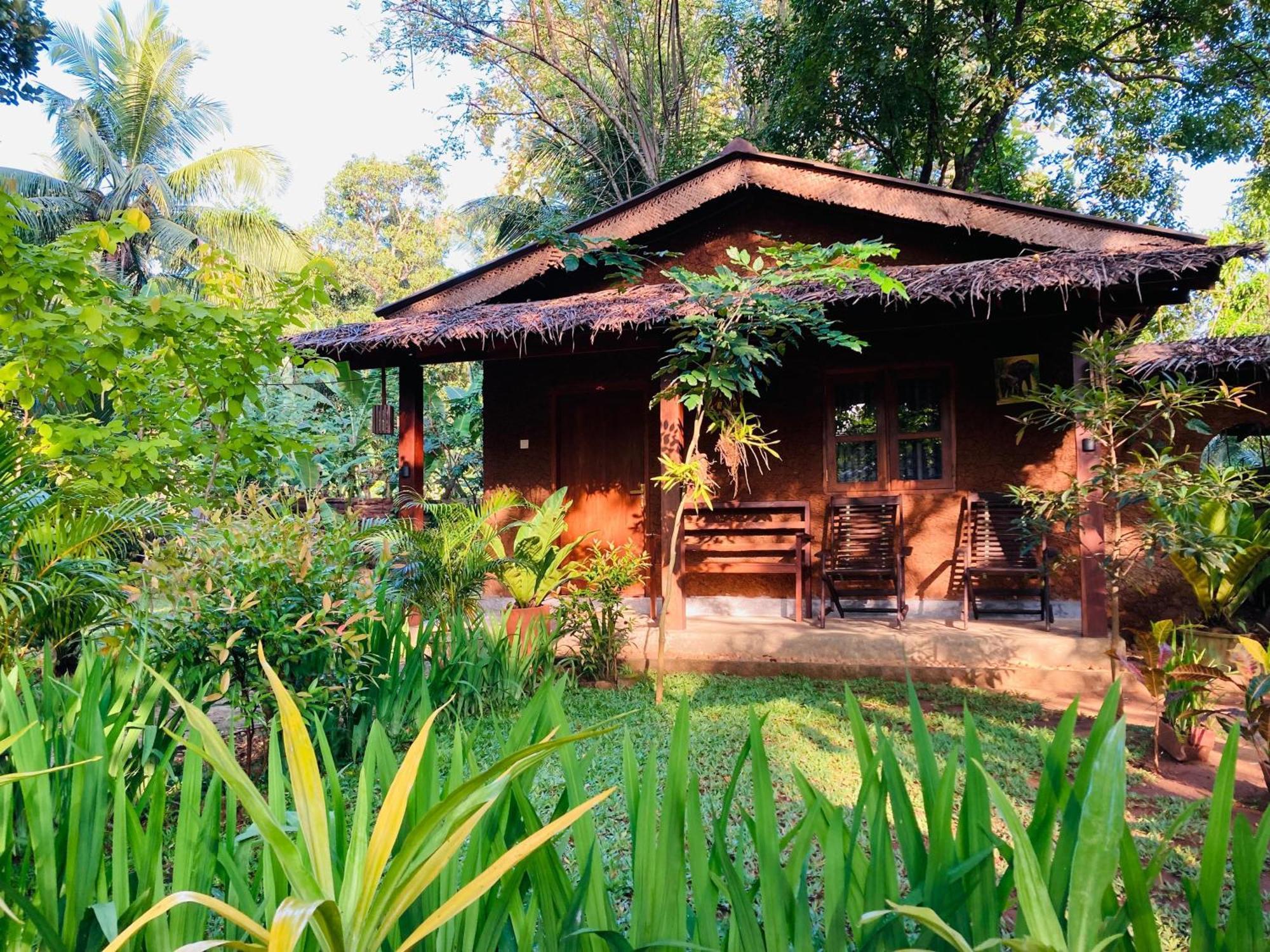 Green Paradise Cottage Udawalawa 达瓦拉维 外观 照片