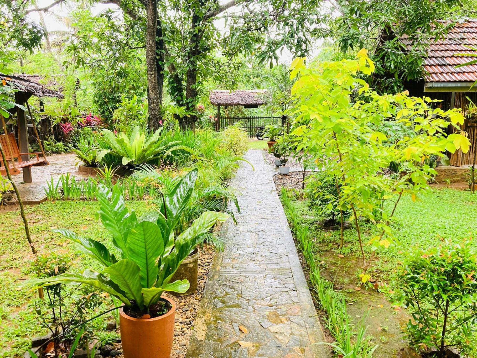 Green Paradise Cottage Udawalawa 达瓦拉维 外观 照片