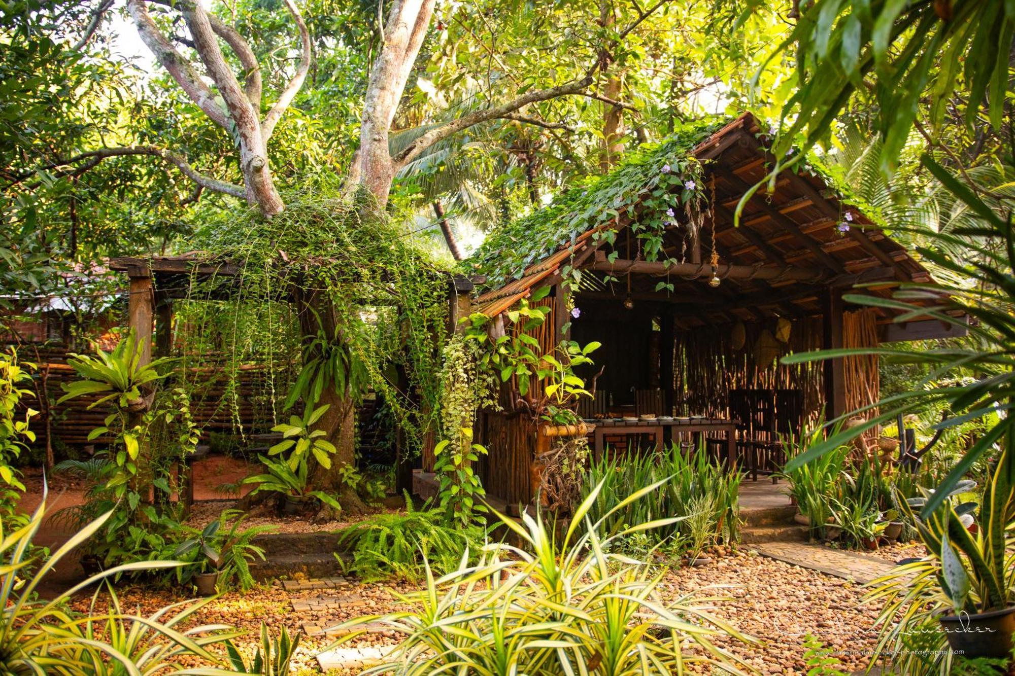 Green Paradise Cottage Udawalawa 达瓦拉维 外观 照片