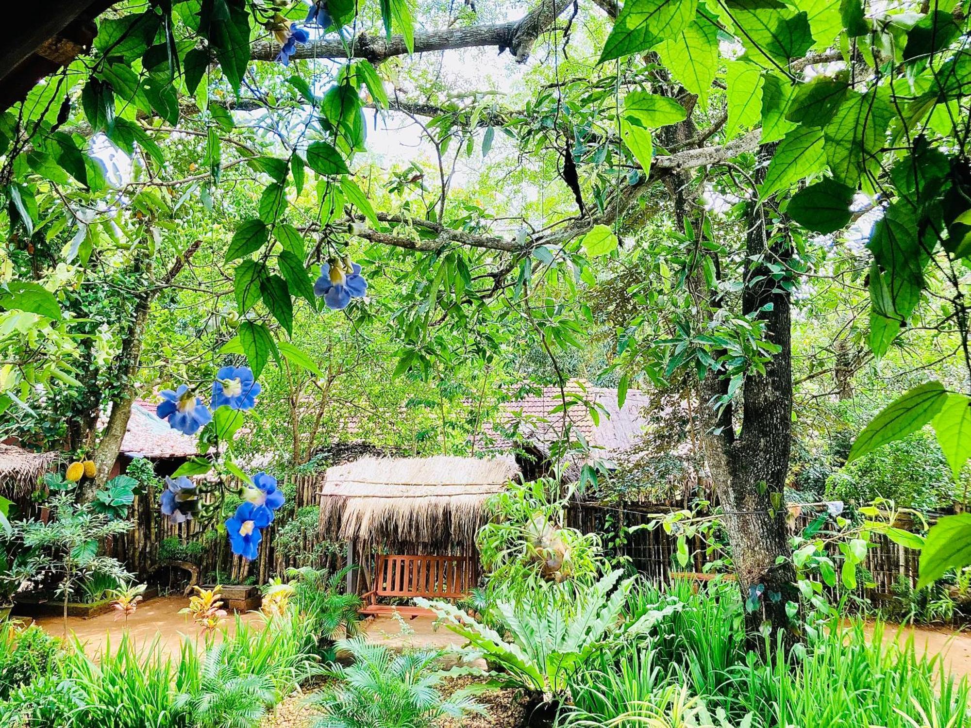Green Paradise Cottage Udawalawa 达瓦拉维 外观 照片