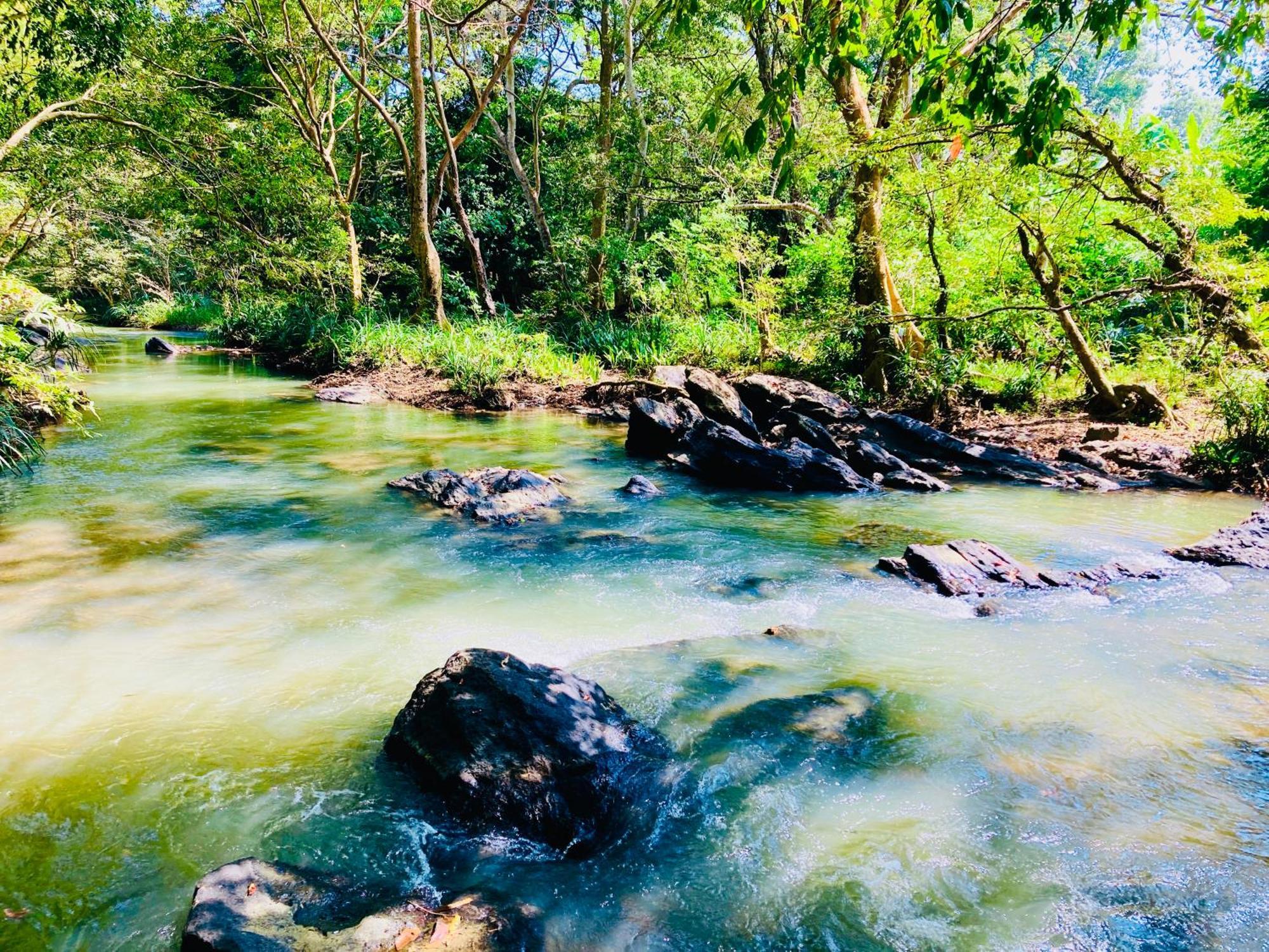Green Paradise Cottage Udawalawa 达瓦拉维 外观 照片