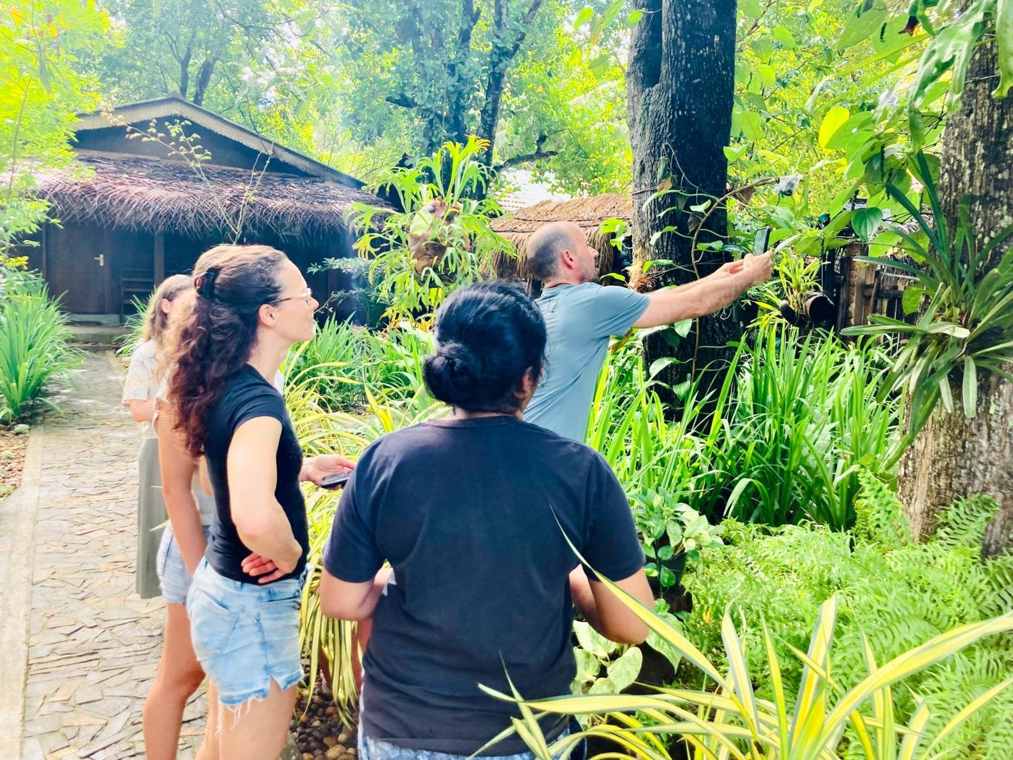 Green Paradise Cottage Udawalawa 达瓦拉维 外观 照片