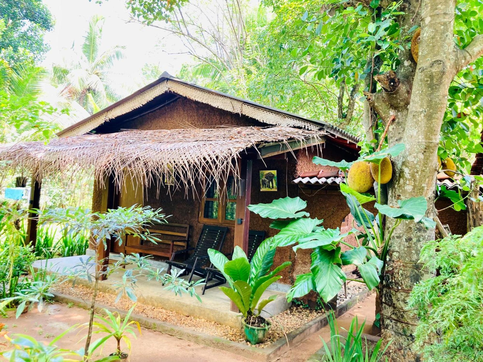 Green Paradise Cottage Udawalawa 达瓦拉维 外观 照片