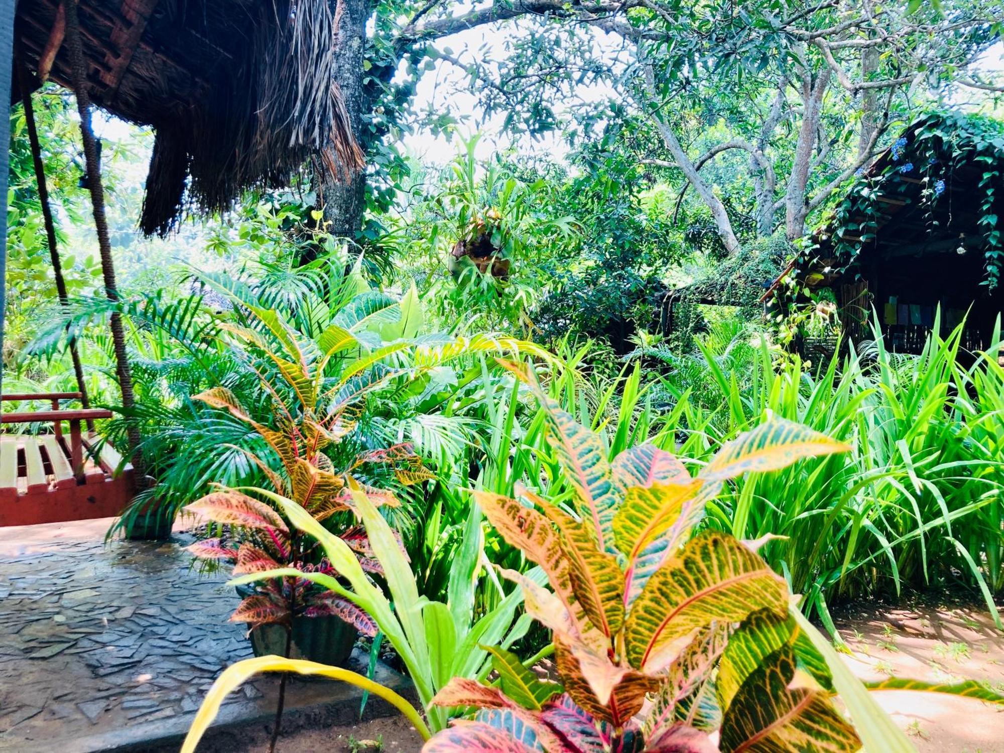 Green Paradise Cottage Udawalawa 达瓦拉维 外观 照片