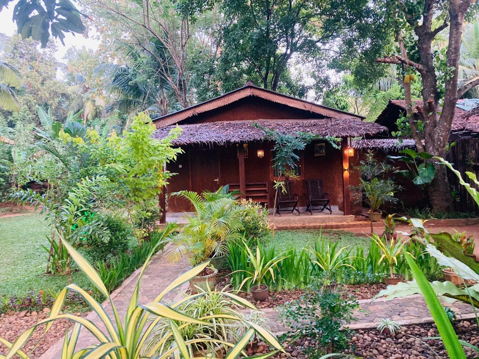 Green Paradise Cottage Udawalawa 达瓦拉维 外观 照片