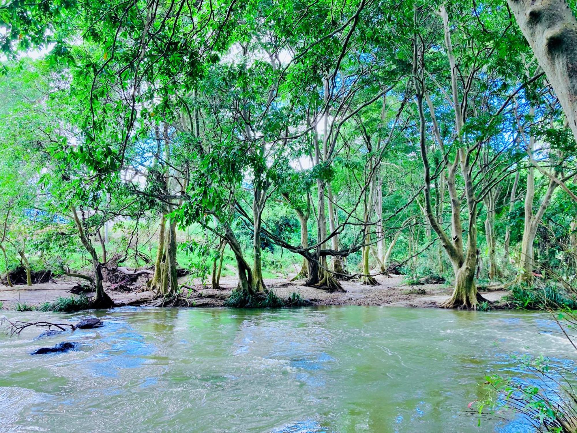Green Paradise Cottage Udawalawa 达瓦拉维 外观 照片